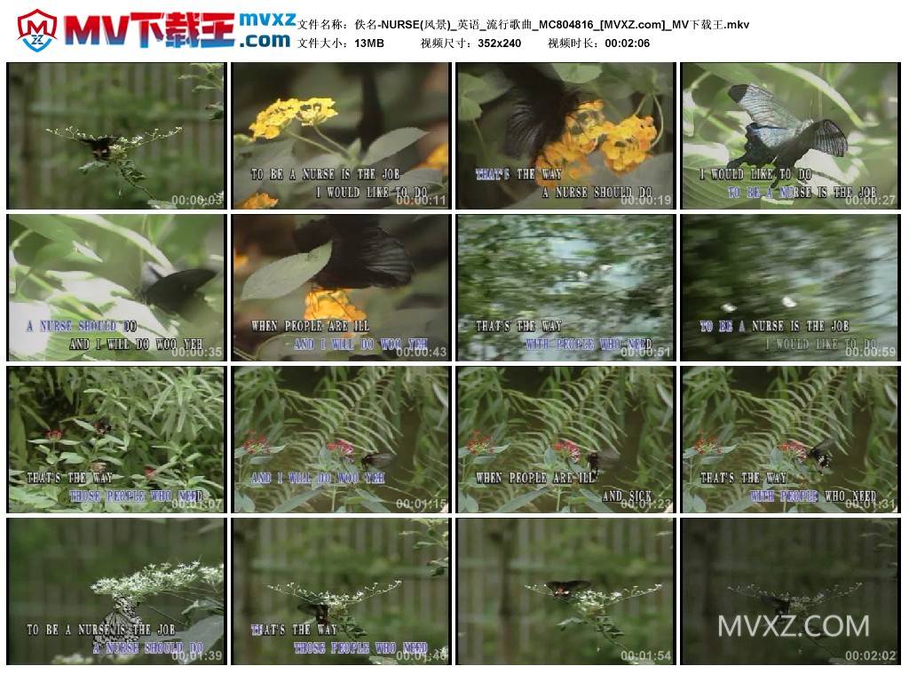 佚名-NURSE(风景)_英语_流行歌曲_MC804816